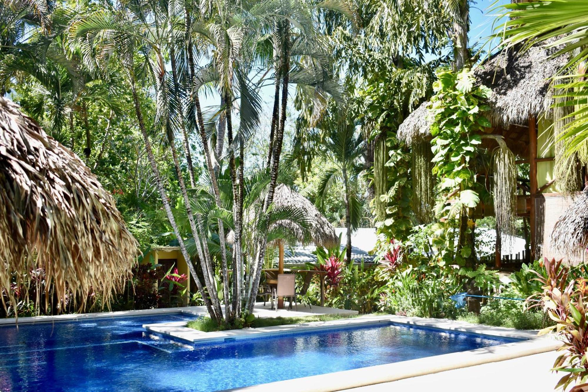 Fuego Lodge Playa Santa Teresa  Bagian luar foto